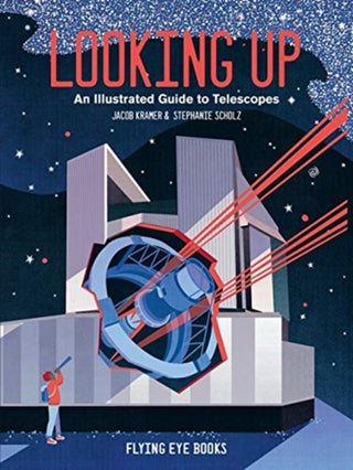 Cover image for 9781912497249 - Looking Up