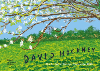 Cover image for 9781912520640 - David Hockney