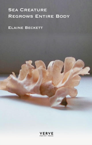 Cover image for 9781912565573 - Sea Creature Regrows Entire Body