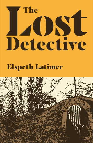 Cover image for 9781912665525 - The Lost Detective