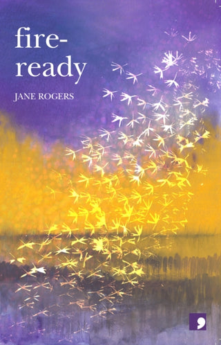 Cover image for 9781912697762 - Fire Ready