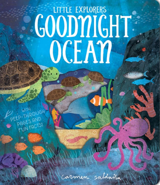 Cover image for 9781912756148 - Goodnight Ocean