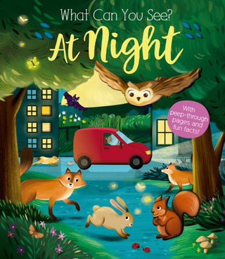 Cover image for 9781912756414 - What Can You See At Night?