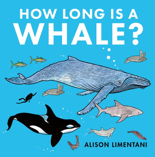 Cover image for 9781912757855 - How Long is a Whale?