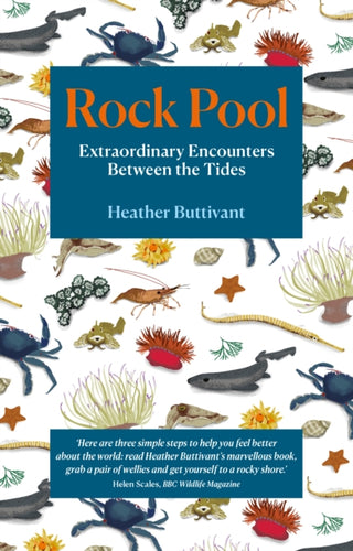 Cover image for 9781912836123 - Rock Pool