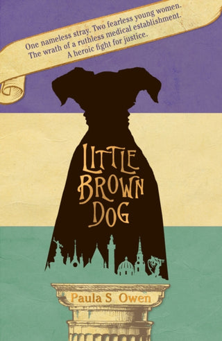 Cover image for 9781912905430 - Little Brown Dog