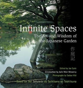Cover image for 9781912916122 - Infinite Spaces