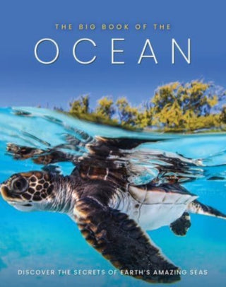Cover image for 9781912918782 - The Big Book of the Ocean