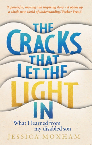 Cover image for 9781913068349 - The Cracks that Let the Light In