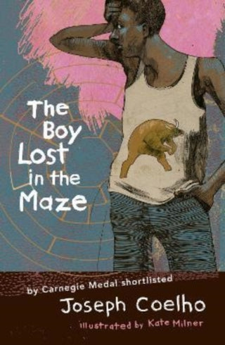 Cover image for 9781913074333 - The Boy Lost in the Maze