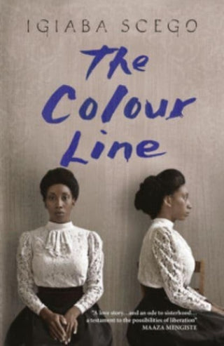 Cover image for 9781913109202 - The Colour Line