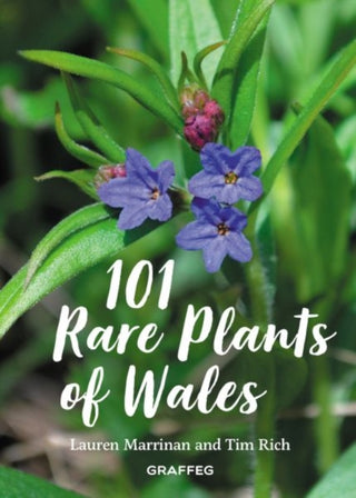 Cover image for 9781913134037 - 101 Rare Plants of Wales