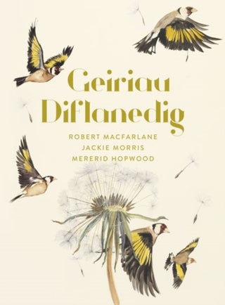 Cover image for 9781913134617 - Geiriau Diflanedig