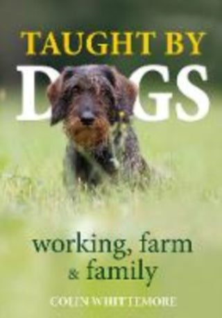 Cover image for 9781913159788 - Taught by Dogs