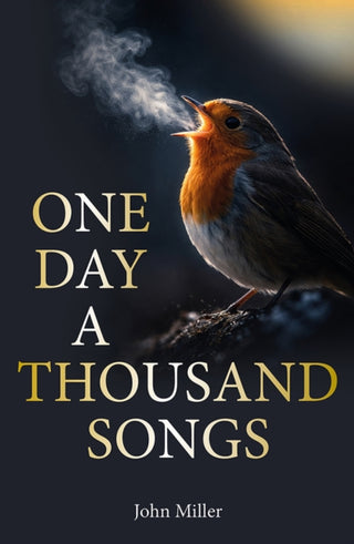 Cover image for 9781913159948 - One Day a Thousand Songs