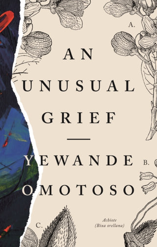 Cover image for 9781913175139 - An Unusual Grief