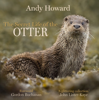 Cover image for 9781913207410 - The Secret Life of the Otter