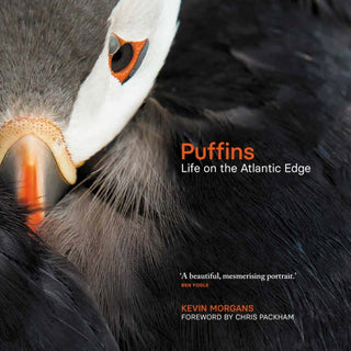 Cover image for 9781913207779 - Puffins