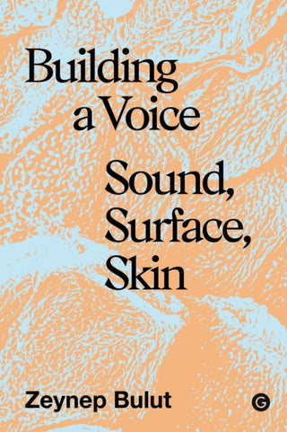Cover image for 9781913380885 - Building a Voice