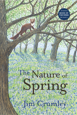 Cover image for 9781913393106 - The Nature of Spring (pb)