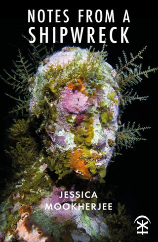 Cover image for 9781913437480 - Notes from a Shipwreck