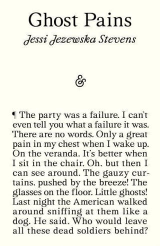 Cover image for 9781913505844 - Ghost Pains