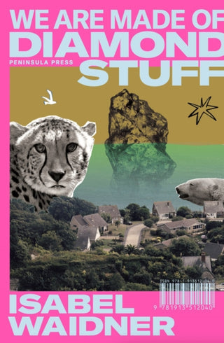 Cover image for 9781913512088 - We are Made of Diamond Stuff