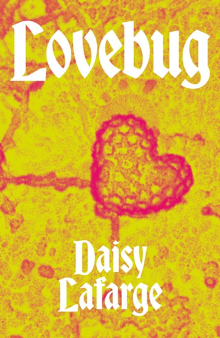 Cover image for 9781913512378 - Lovebug
