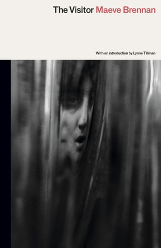 Cover image for 9781913512637 - The Visitor