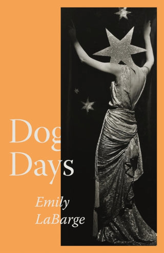 Cover image for 9781913512750 - Dog Days