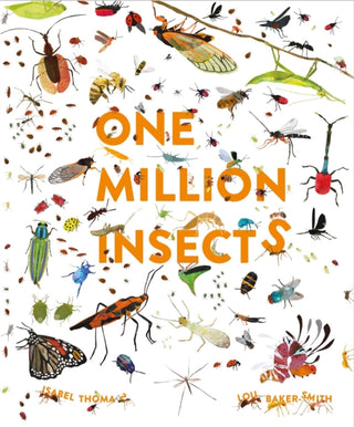 Cover image for 9781913519025 - One Million Insects