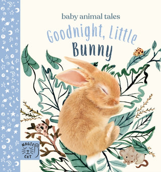 Cover image for 9781913520182 - Goodnight, Little Bunny
