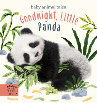Cover image for 9781913520236 - Goodnight, Little Panda