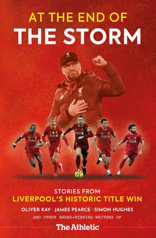 Cover image for 9781913538439 - At the End of the Storm