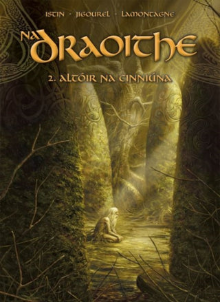 Cover image for 9781913573874 - Na Draoithe 2: Altoir na Cinniuna