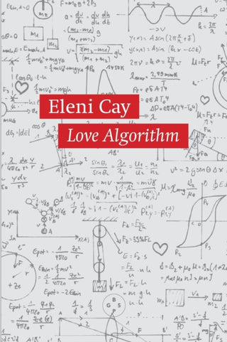 Cover image for 9781913606015 - Love Algorithm