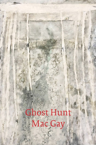 Cover image for 9781913606787 - Ghost Hunt