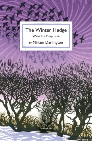 Cover image for 9781913627324 - The Winter Hedge