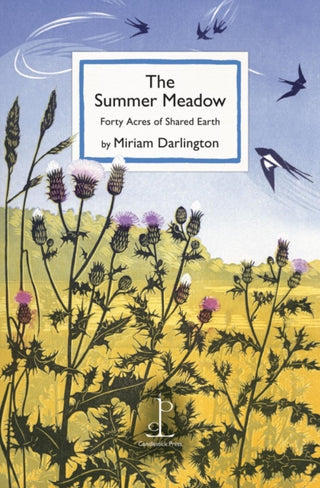 Cover image for 9781913627423 - The Summer Meadow