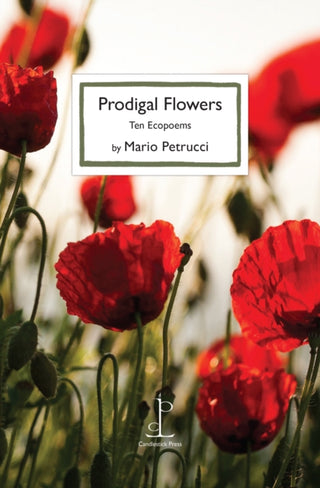 Cover image for 9781913627799 - Prodigal Flowers