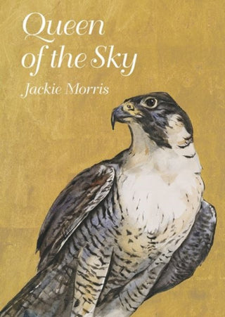 Cover image for 9781913634773 - Queen of the Sky