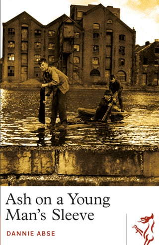 Cover image for 9781913640118 - Ash on a Young Man's Sleeve