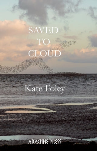 Cover image for 9781913665760 - Saved to Cloud