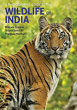 Cover image for 9781913679019 - A Photographic Guide to the Wildlife of India