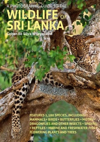 Cover image for 9781913679187 - A Photographic Guide to the Wildlife of Sri Lanka