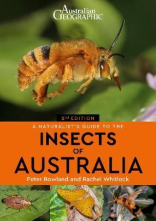 Cover image for 9781913679262 - A Naturalist's Guide to the Insects of Australia