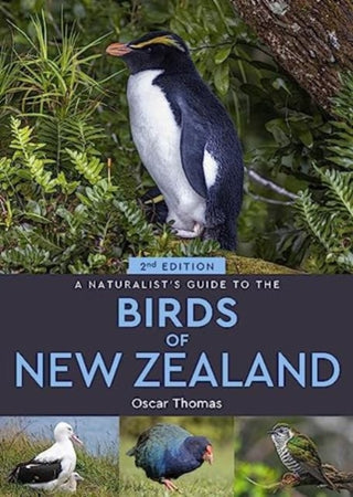 Cover image for 9781913679415 - A Naturalist's Guide to the Birds Of New Zealand