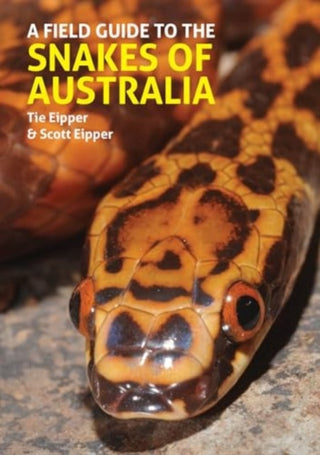 Cover image for 9781913679637 - A Field Guide to the Snakes of Australia