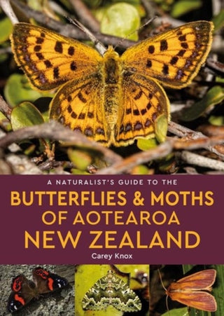 Cover image for 9781913679668 - A Naturalist's Guide to the Butterflies & Moths of Aotearoa New Zealand