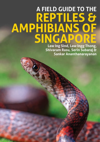 Cover image for 9781913679811 - A Field Guide to the Reptiles and Amphibians of Singapore